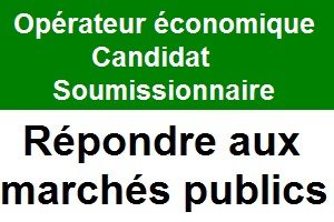 Opérateur économique candidat soumissionnaire