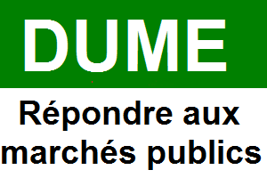 Savoir compléter un DUME électronique